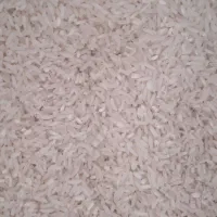 بیست کیلوبرنج هاشمی