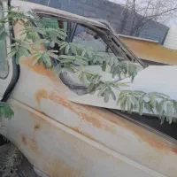 پژو89مدارک سند کامل|خودرو سواری و وانت|سیرجان, |دیوار