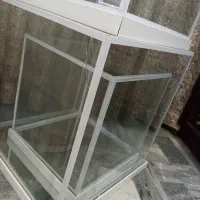 باکس شیشه ای بله برون