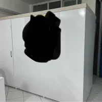 پارتیشن و رسپشن