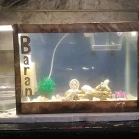 سلام اکواریوم با وسایل