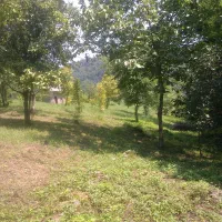 ۲۰۰/۳۰۰/۵۰۰ متر زمین خارج از بافت سلیمان آباد