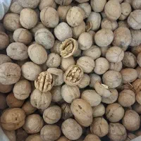 برنج، گردو، مغز گردو دندونه و دوپر، بادام تک پوست