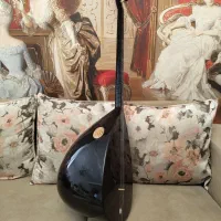 دیوان باغلاما حرفه ای