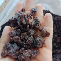 کشمش افتابی سورت لیزر بدون حتی یه دونه سوک و روغن|خوردنی و آشامیدنی|اصفهان, زهران|دیوار