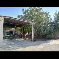 سوله-فول-امکانات