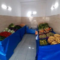 فروش فوری به دلیل نداشتن جا