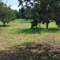 باغ-سنددار-نزدیک-آمل-دور-دیوار-1050-متر