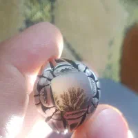 انگشتر شجر  فوق العاده زیبا