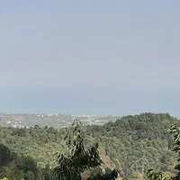 کلبه جنگلی سنتی روستایی دربست  بکروآرام  ویو|اجارهٔ کوتاه‌مدت ویلا و باغ|رامسر, |دیوار