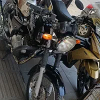 پالس پره ای عروسک معاوظه