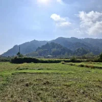 زمین ویلایی با ویو رویایی دریا و جنگل|فروش زمین و ملک کلنگی|چوبر, |دیوار