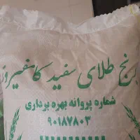 برنج اصل اصل کامفیروزی بشرط خوش طعم خوش بو|خوردنی و آشامیدنی|بندر گناوه, |دیوار