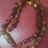 کهربا بالتیک،