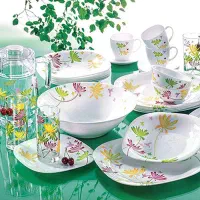 سرویس چینی  سرویس آکروپال