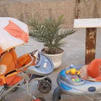کالسکه و روروعک