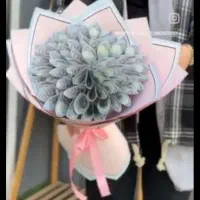 باکس گل پول