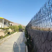 تولیدوپخش حفاظ شاخ گوزنی