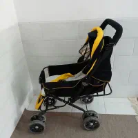 دو عدد کالسکه|کالسکه و لوازم جانبی|تفت, |دیوار