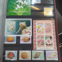 آلبوم تمبر|کلکسیون سکه، تمبر، اسکناس|رشت, کوی مهر|دیوار