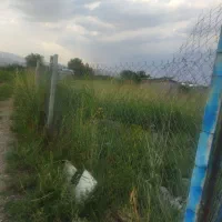 زمین کشاورزی