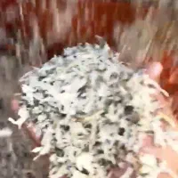 فروش ویژه تفاله چغندر فله