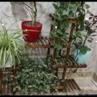 استند جای گل زیبا با چوب محکم