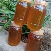 عسل طبیعی
