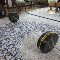 هالتر 30 کیلویی