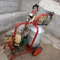 شیردوش گاو