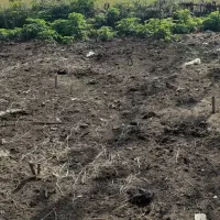 فروش زمین مسکونی ۲۸۰ متر|فروش زمین و ملک کلنگی|رشت, حومه رشت|دیوار