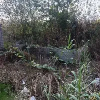 فروش زمین دارای علمک فخب کوی حسینی