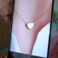 گمشده زنجیر طلا