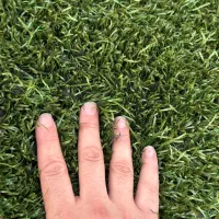 چمن مصنوعی کارکرده|مصالح و تجهیزات ساختمان|رباطکریم, نصیرشهر|دیوار