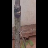 بازو‌وسط‌فابریکی‌باریک‌رومانی