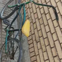 دوچرخه|دوچرخه، اسکیت، اسکوتر|مبارکه, |دیوار