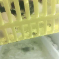 دستگاه جوجه کشی 42 تایی هدایت.معاوضه نمیکنم باهیچی|لوازم جانبی حیوانات|زاهدان, |دیوار