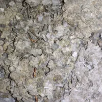 کود کبوتر ( زیل کبوتر)