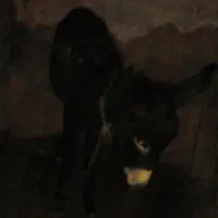 فروش الاغ مادیان جوان یک ونیم ساله درمرند|حیوانات مزرعه|مرند, |دیوار