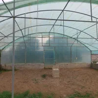 گلخانه ۹۰متری