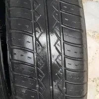 لاستیک پراید و پژویی|قطعات یدکی و لوازم جانبی|رشت, کاکتوس|دیوار