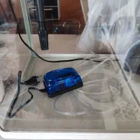 آکواریوم شرکتی دلسا|ماهی|اصفهان, برازنده|دیوار