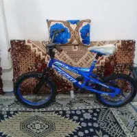 دوچرخه ۱۶ سالم