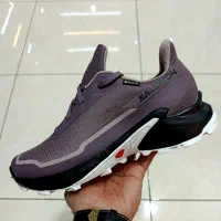 کتونی سالومون آلفا کراس 5 گورتکس اصلی 42/5