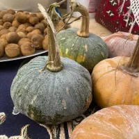 تعدادی کدو|خوردنی و آشامیدنی|واجارگاه, |دیوار