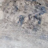 کود حیوانی گوسفند