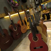 فروش انواع گیتار با تخفیف ویژه