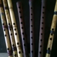 نی کلهر|سازهای بادی|قم, آذر (نکویی)|دیوار