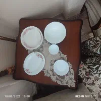 تعدادی آرکوپال کاملا نو