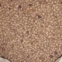 لوبیا چیتی مرغوب|عمدهفروشی|بهمن صغاد, |دیوار